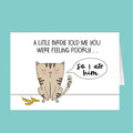 Cartoon cat with a humorous message on a teal background