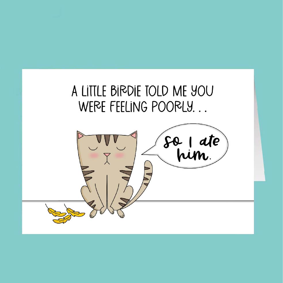 Cartoon cat with a humorous message on a teal background