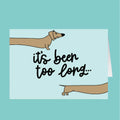 Cartoon dachshund reaching out with text 'it's been too long' on a teal background