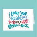 Colorful text card with 'I love you a bushel and a peck and a hug around the neck' on a teal background